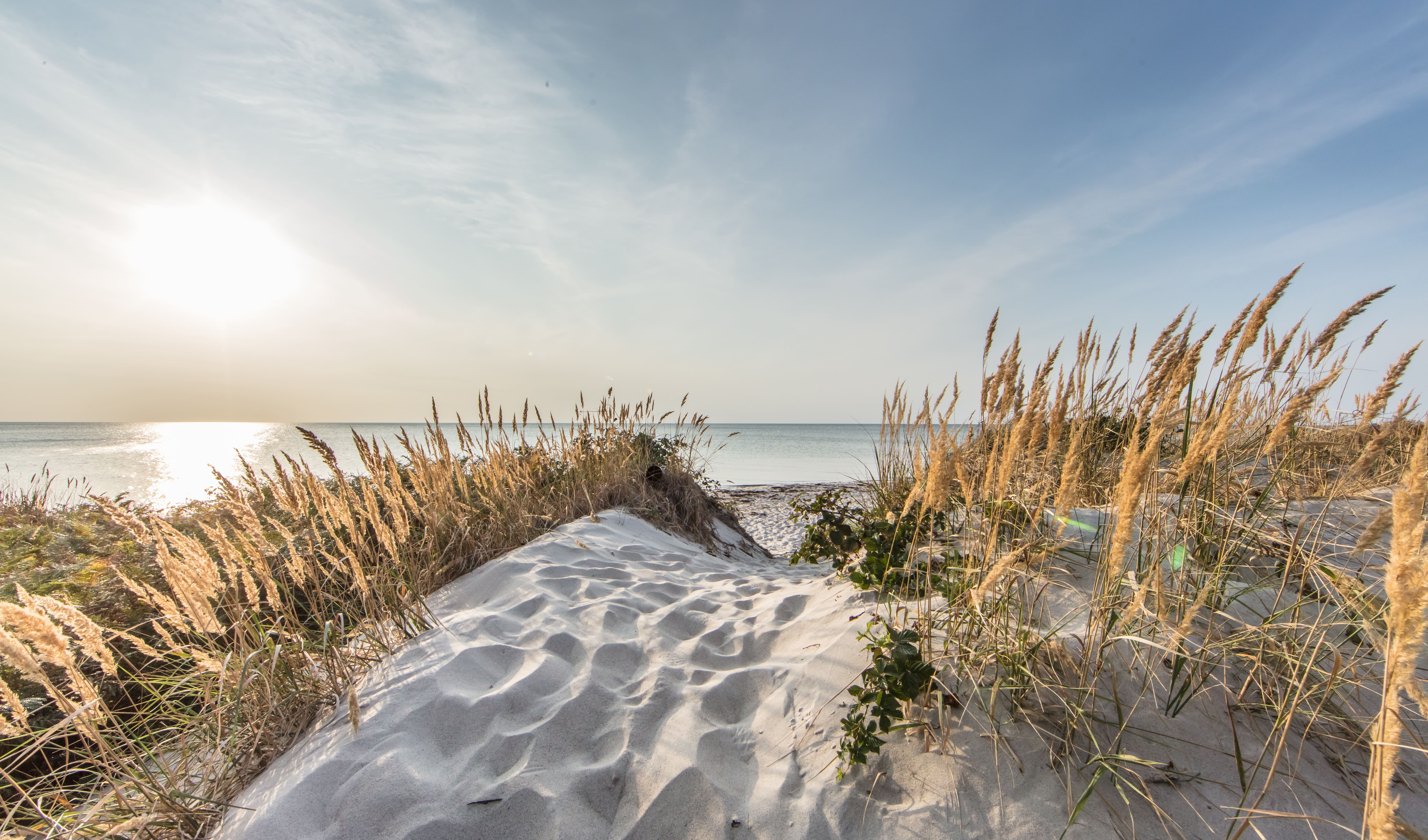 AdobeStock_220356818.jpeg